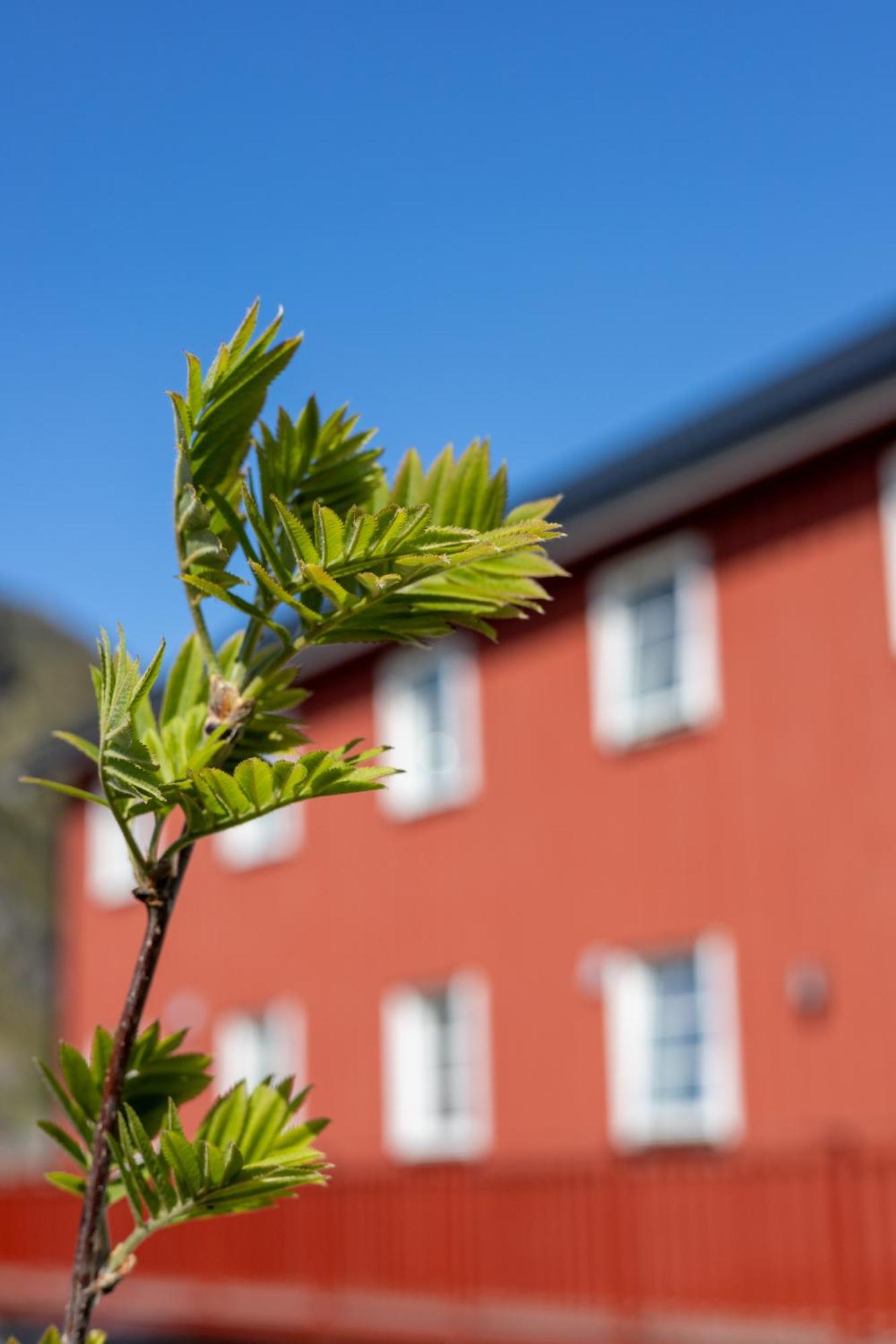 Villa - Havgapet - Located In The Heart Of Lofoten