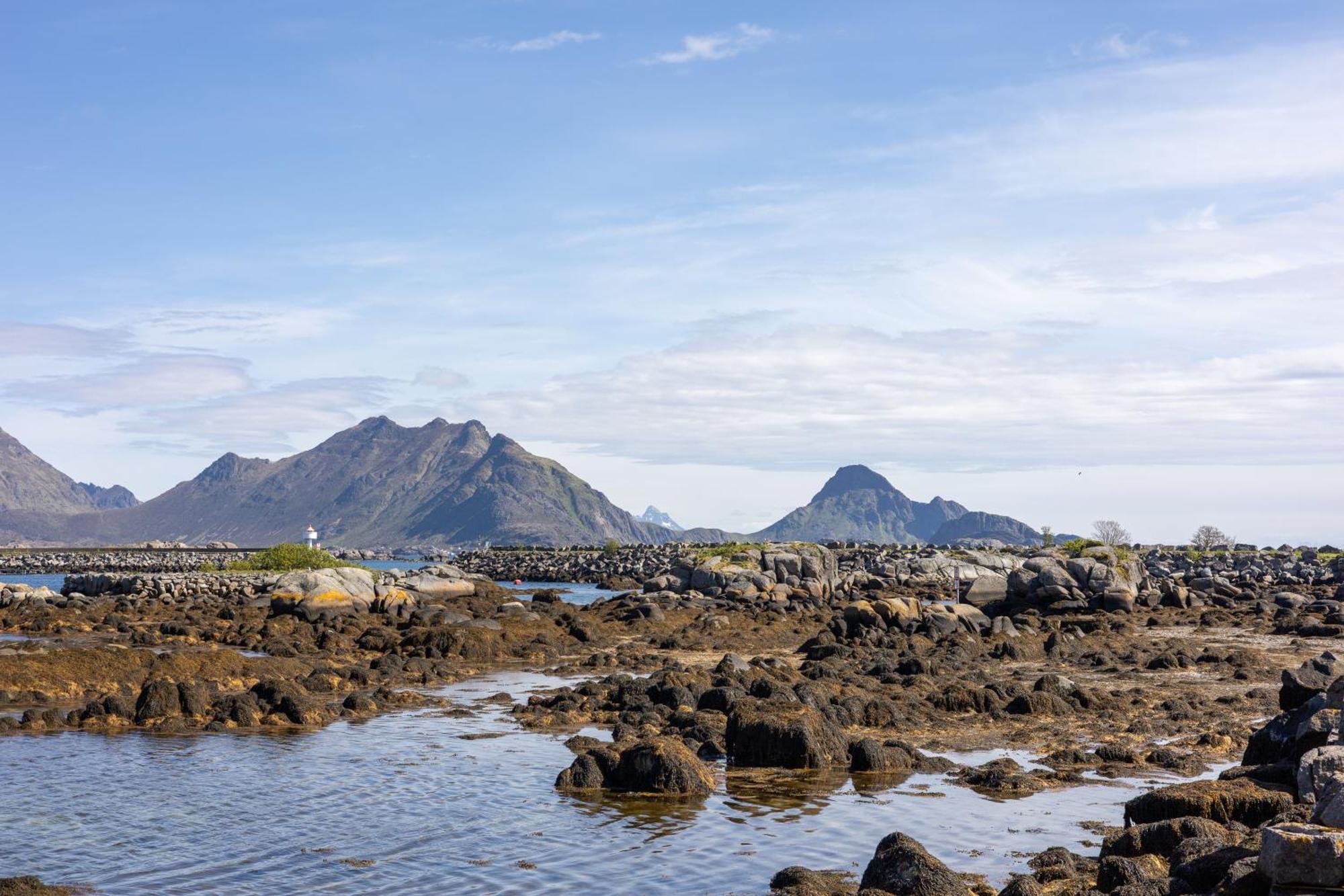 - Havgapet - Located In The Heart Of Lofoten Villa Ballstad