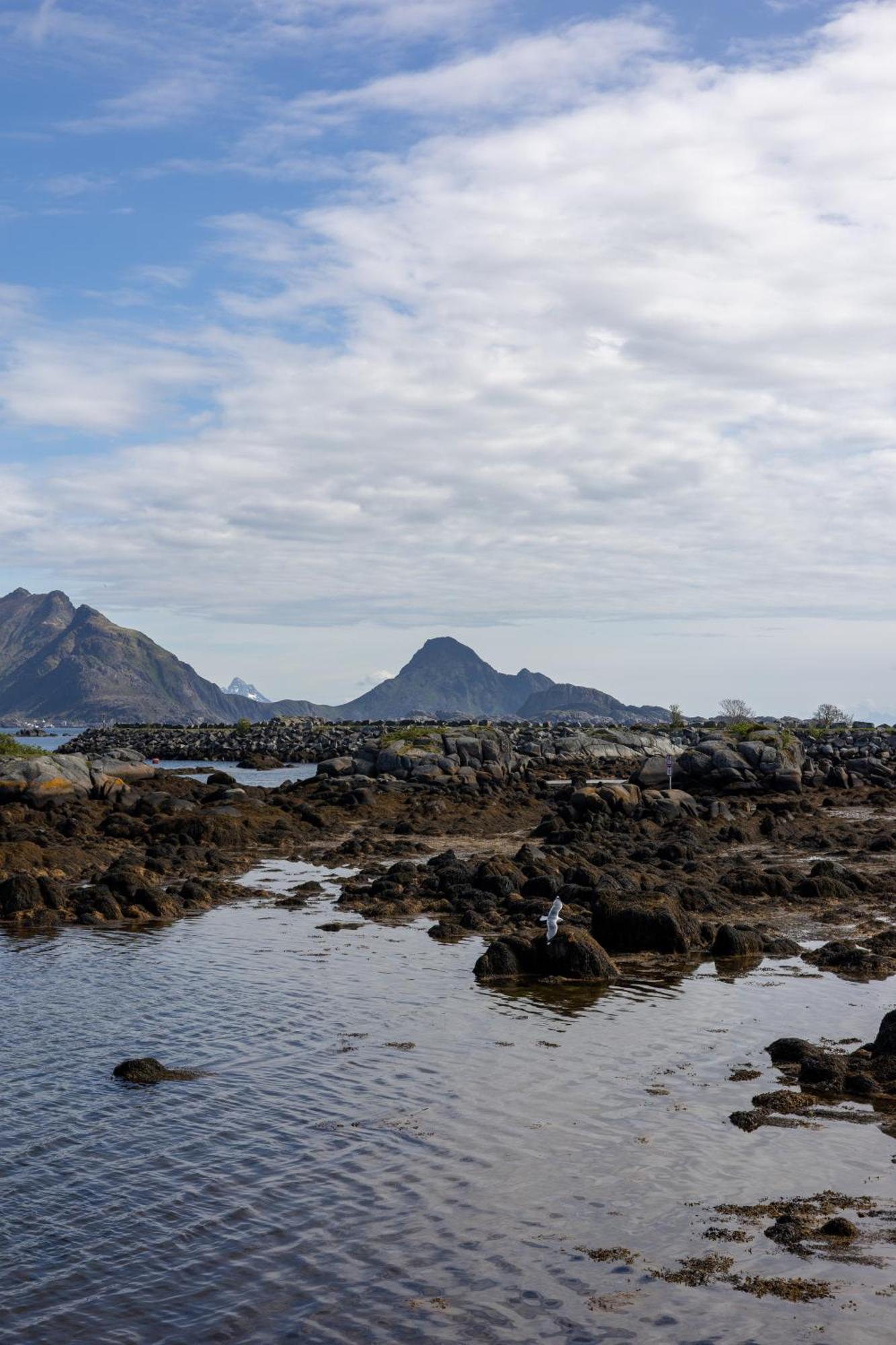 - Havgapet - Located In The Heart Of Lofoten Villa